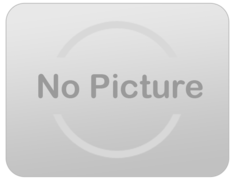 Mechanical Bull Rental